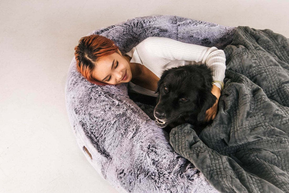Giant Cozy Pet Bed for Dogs & Cats