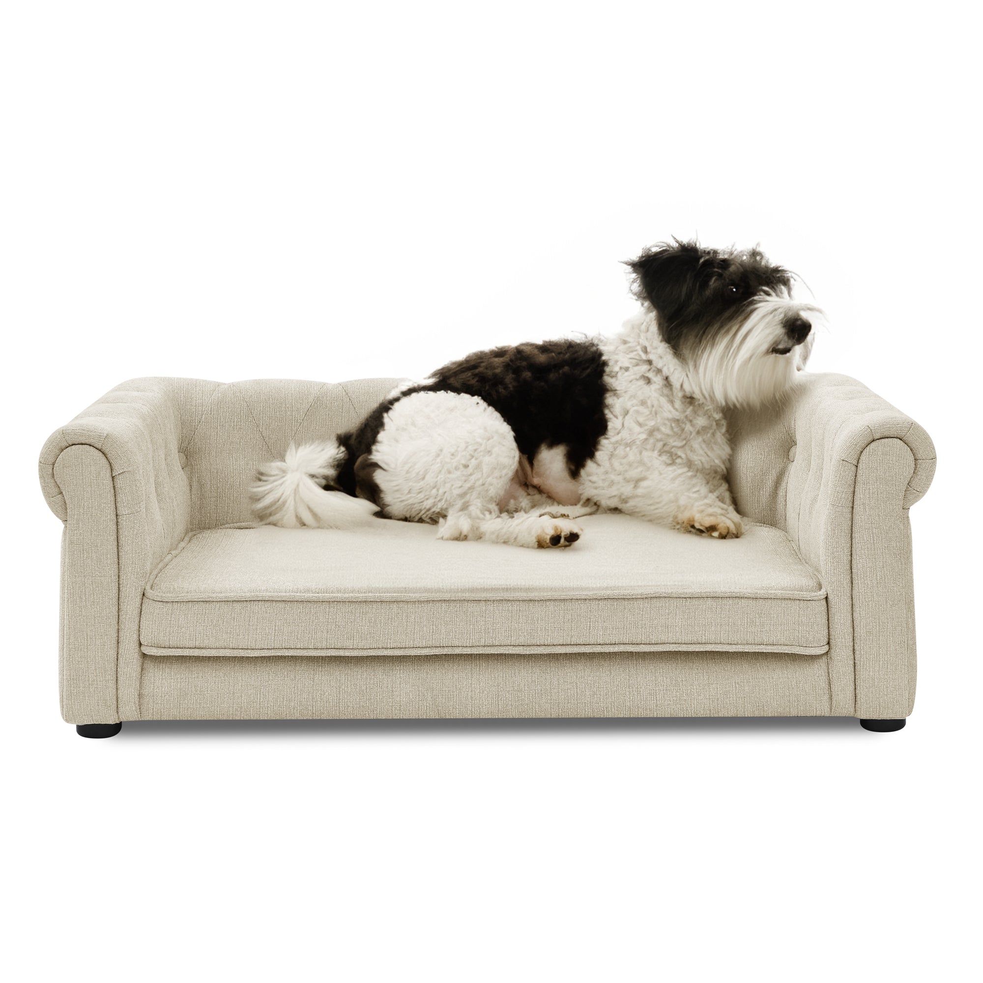 Elegant Beige Elevated Dog Sofa Bed for Medium & Large Dogs